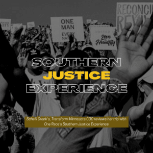 Southern Justice Experience - A Review