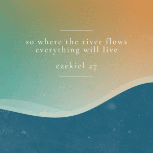 Bringing Life Where We Go: A Kingdom Vision for Minnesota